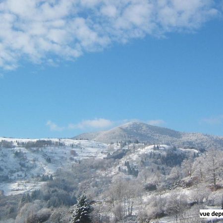 Le Chalet Bel Air Oderen ภายนอก รูปภาพ