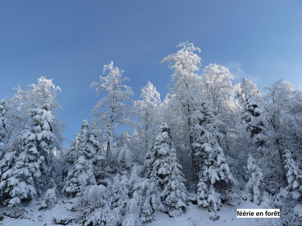Le Chalet Bel Air Oderen ภายนอก รูปภาพ