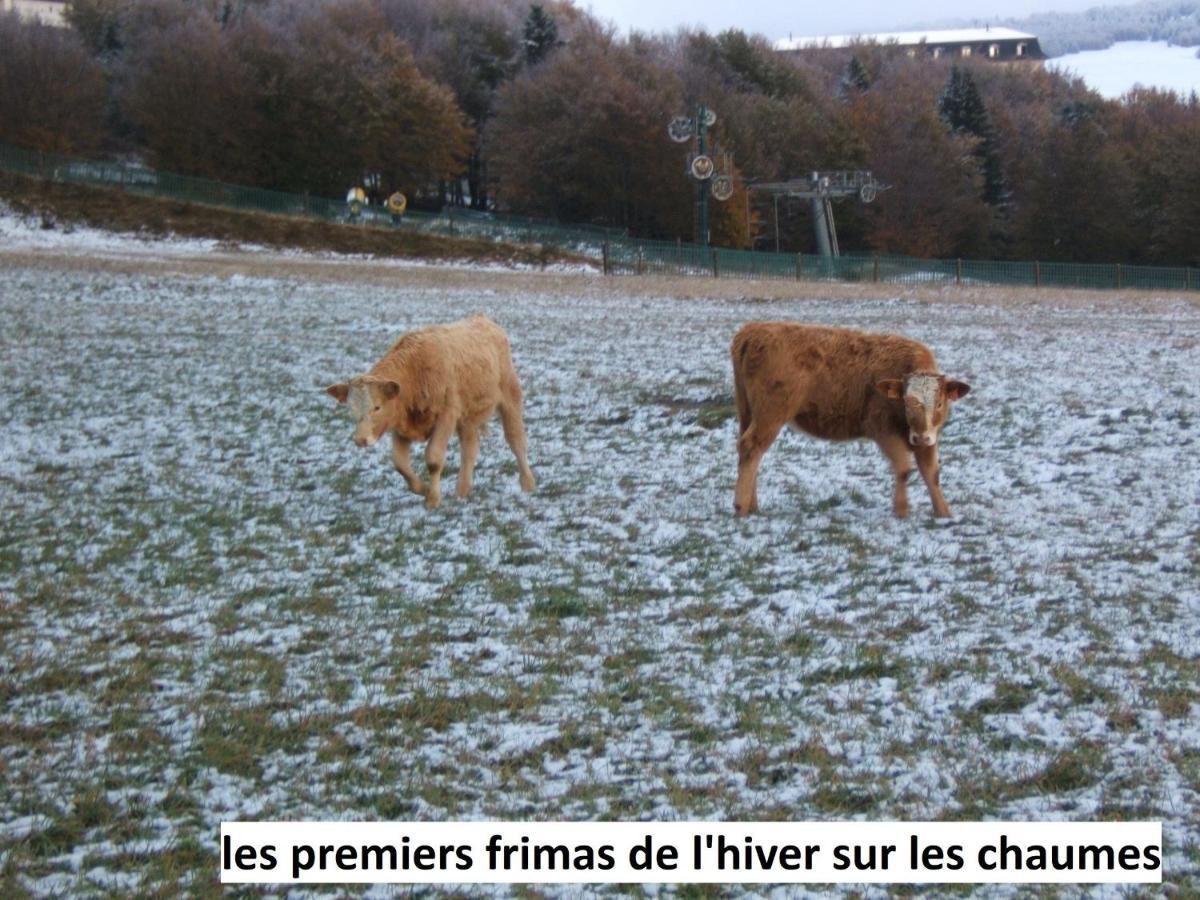 Le Chalet Bel Air Oderen ภายนอก รูปภาพ