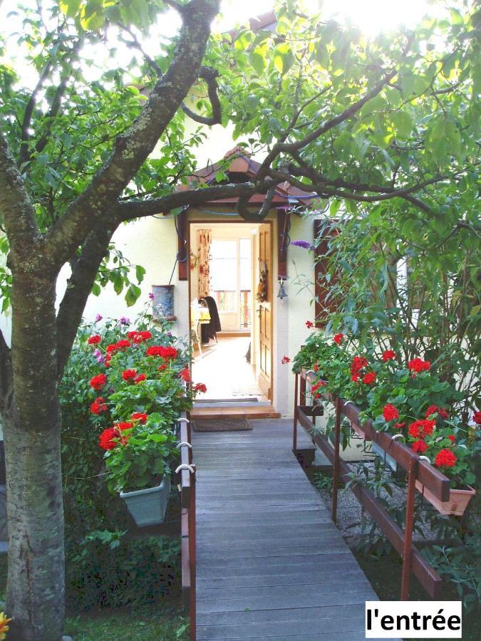 Le Chalet Bel Air Oderen ภายนอก รูปภาพ