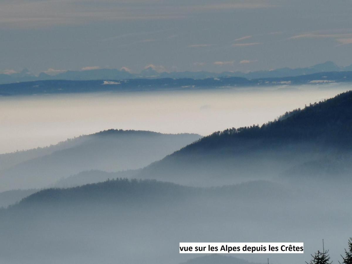 Le Chalet Bel Air Oderen ภายนอก รูปภาพ